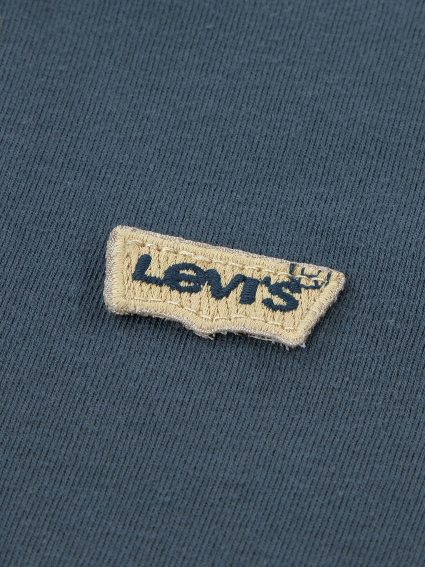 Dsiney Kidz - Levi's® Blue Batwing Chest Hit Long Sleeve T-Shirt image 3