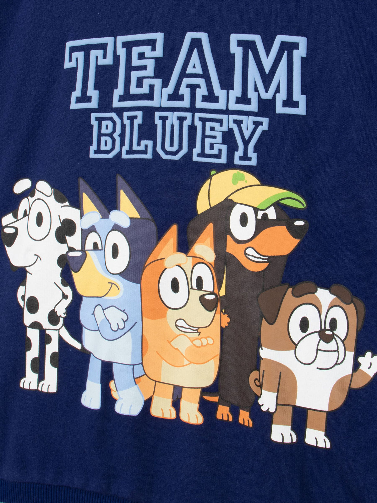 Character Blue Bluey And Bingo Hoodie - image 4