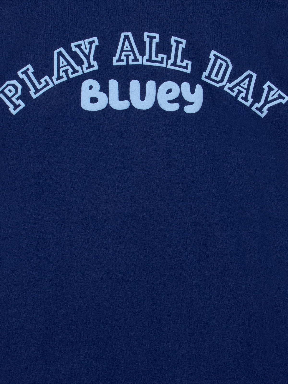 Character Blue Bluey And Bingo Hoodie - image 5