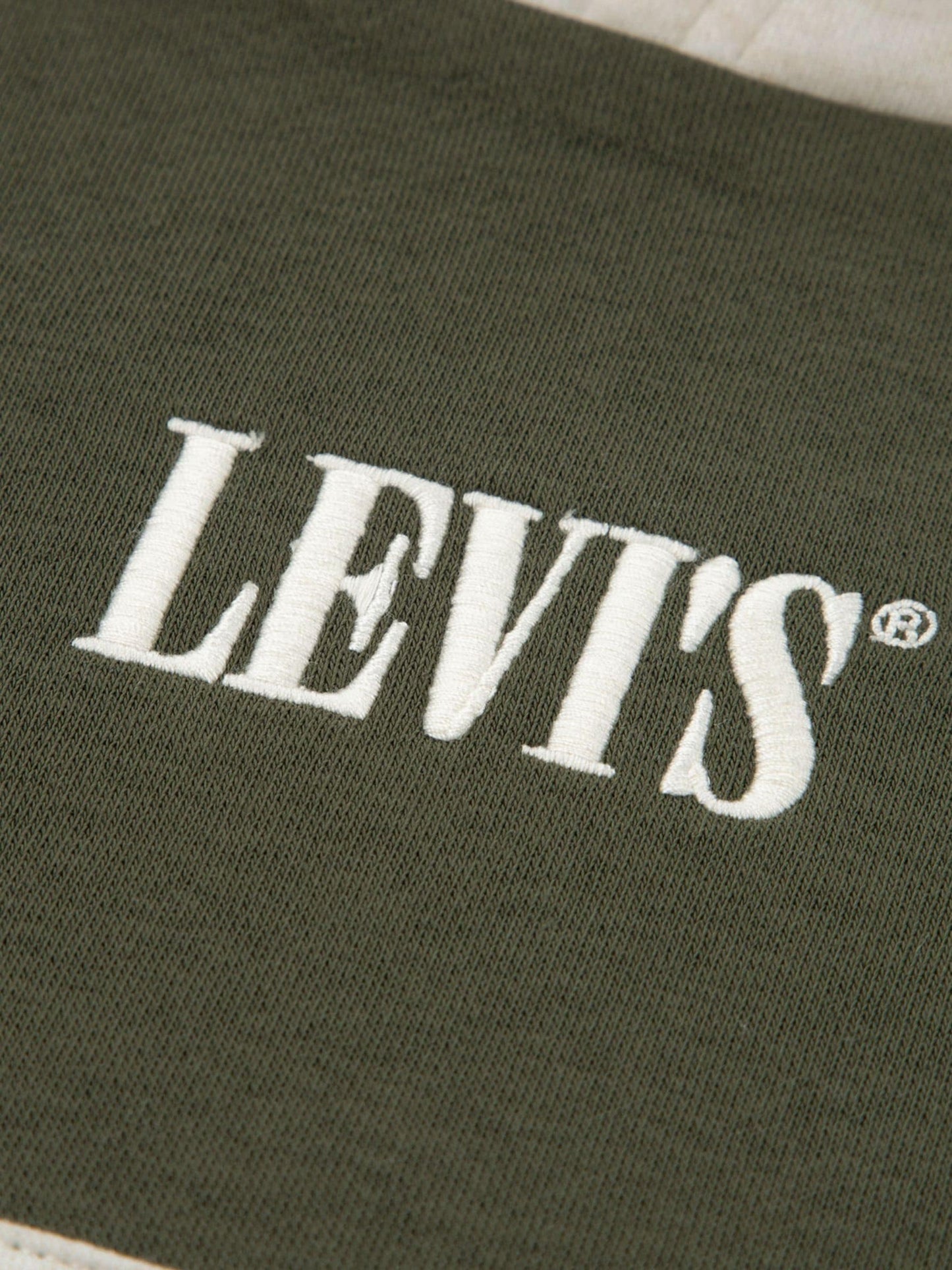 Dsiney Kidz - Levi's® Green Colorblocked Pullover Hoodie and Joggers Set 2 Piece image 2