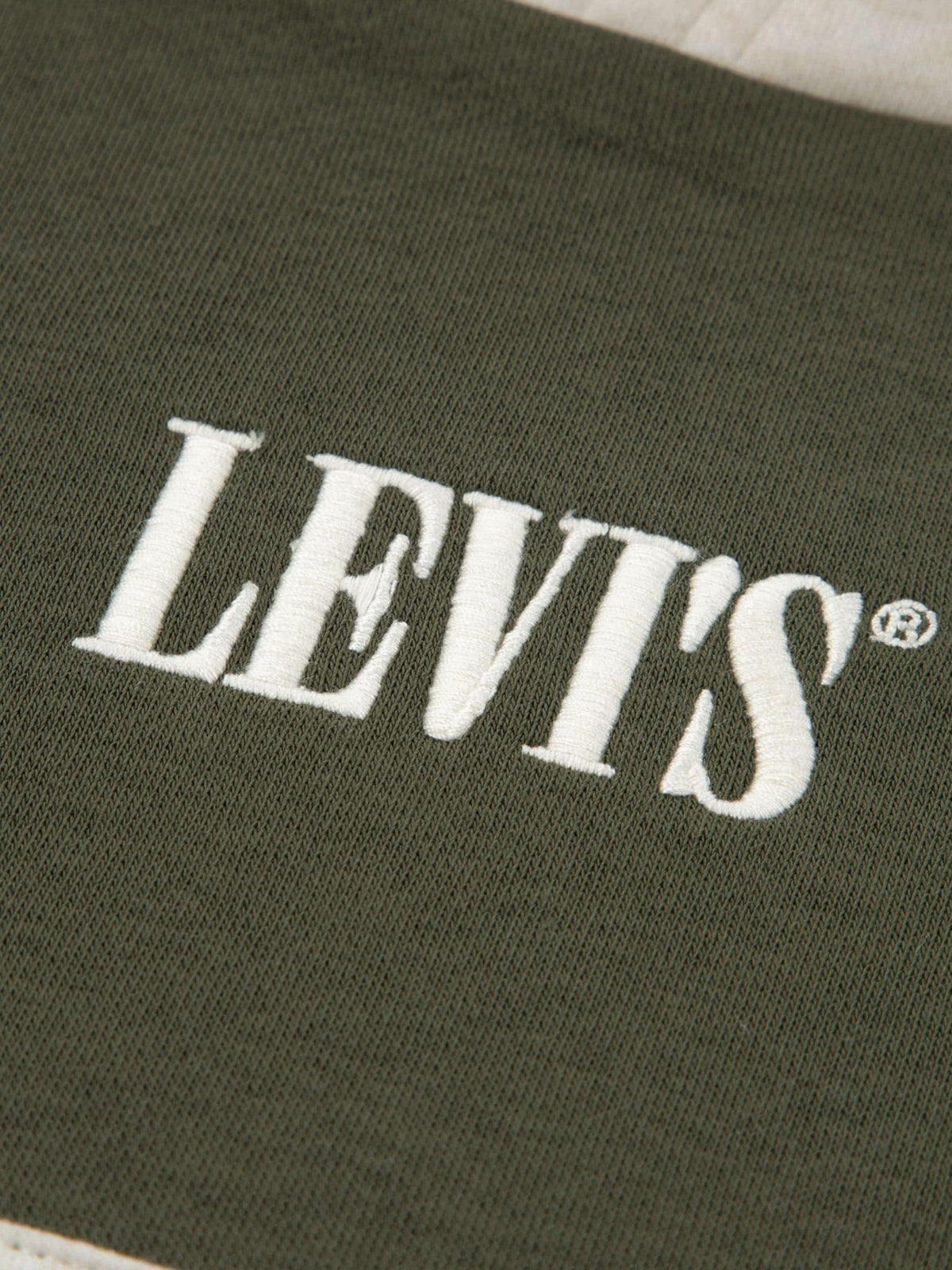 Dsiney Kidz - Levi's® Green Colorblocked Pullover Hoodie and Joggers Set 2 Piece image 2