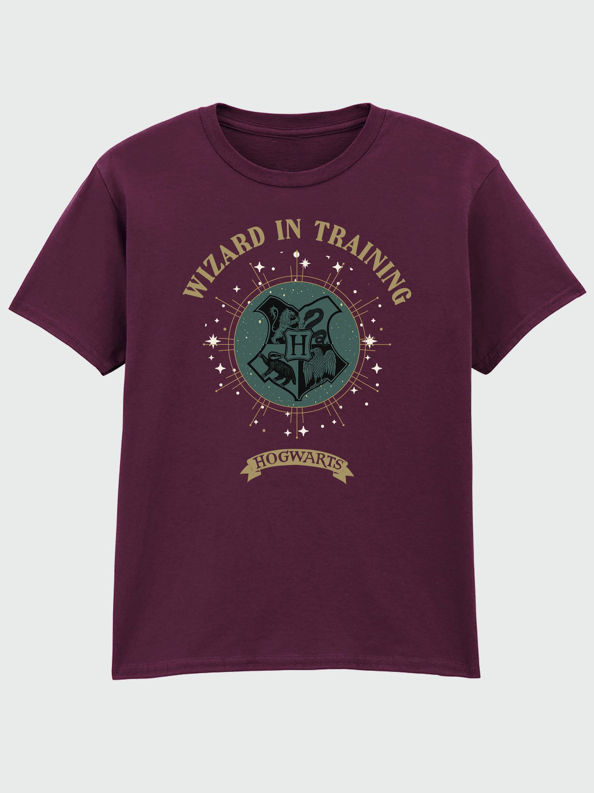 Rags & Rascals Red Harry Potter Wizard In Training Christmas T-Shirt - image 2