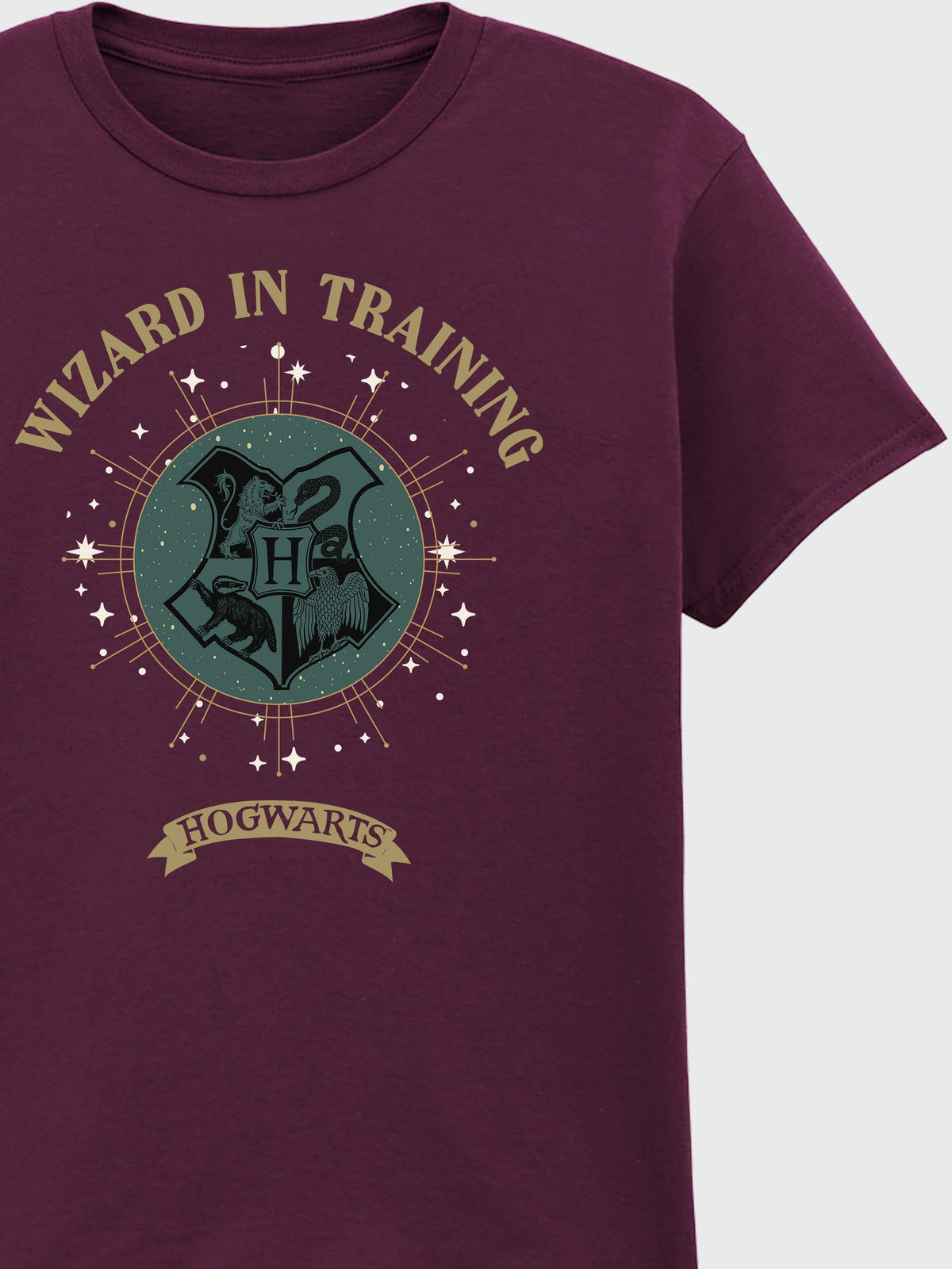 Rags & Rascals Red Harry Potter Wizard In Training Christmas T-Shirt - image 3
