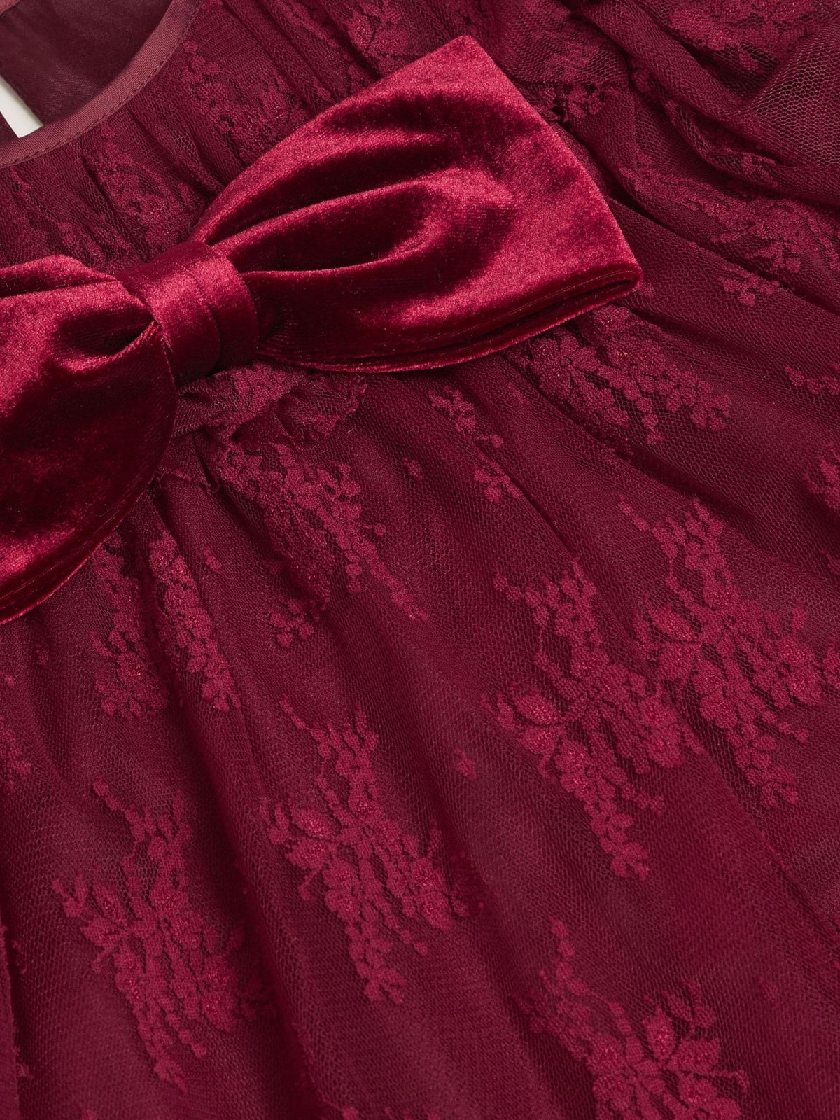 Dsiney Kidz - Monsoon Red Eilidh Lace Velvet Party Dress image 2