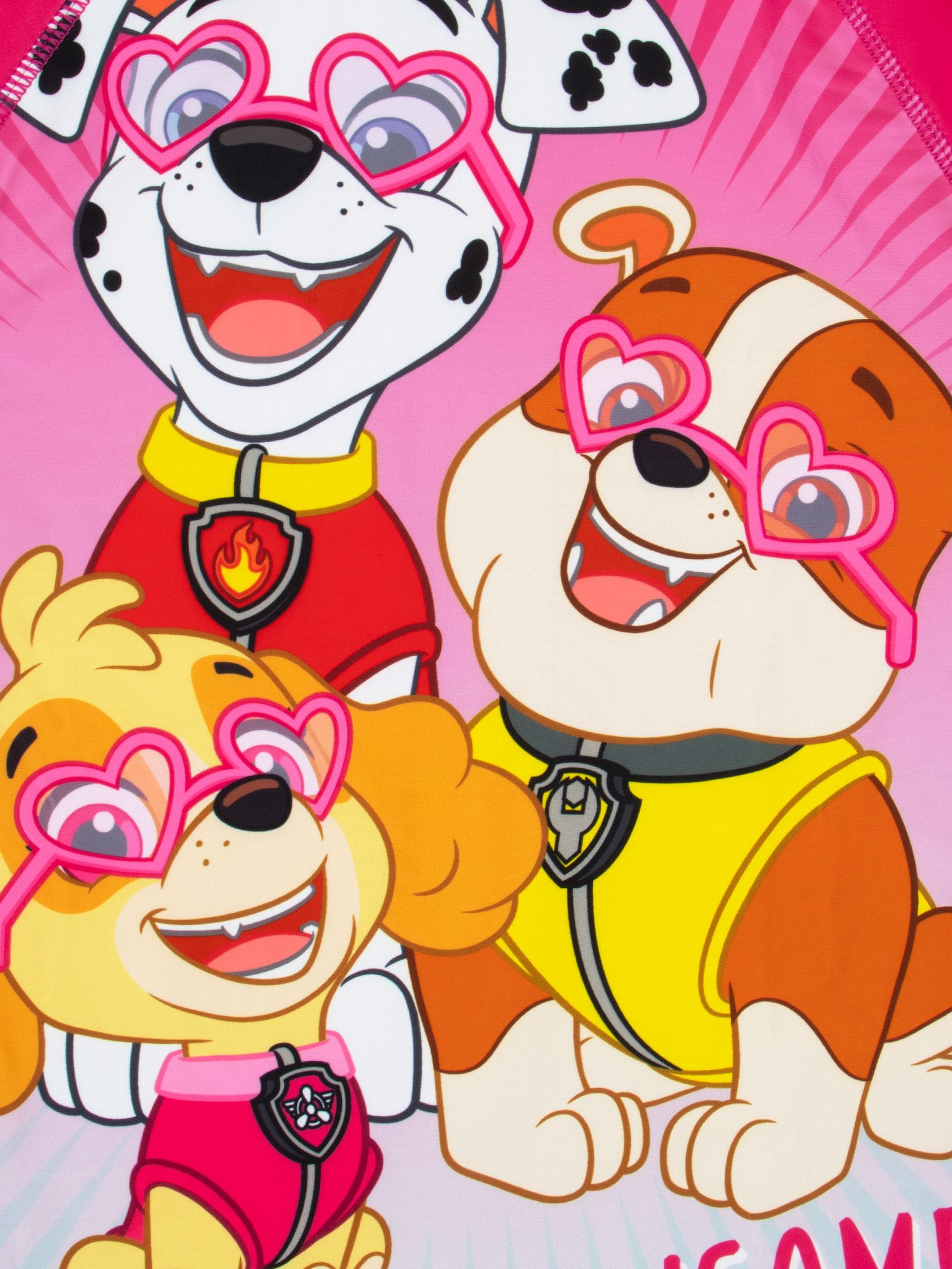 Character Pink Paw Patrol Swimsuit image 5