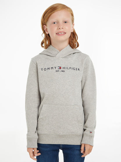 Dsiney Kidz - Tommy Hilfiger Grey Essential Hoodie image 1