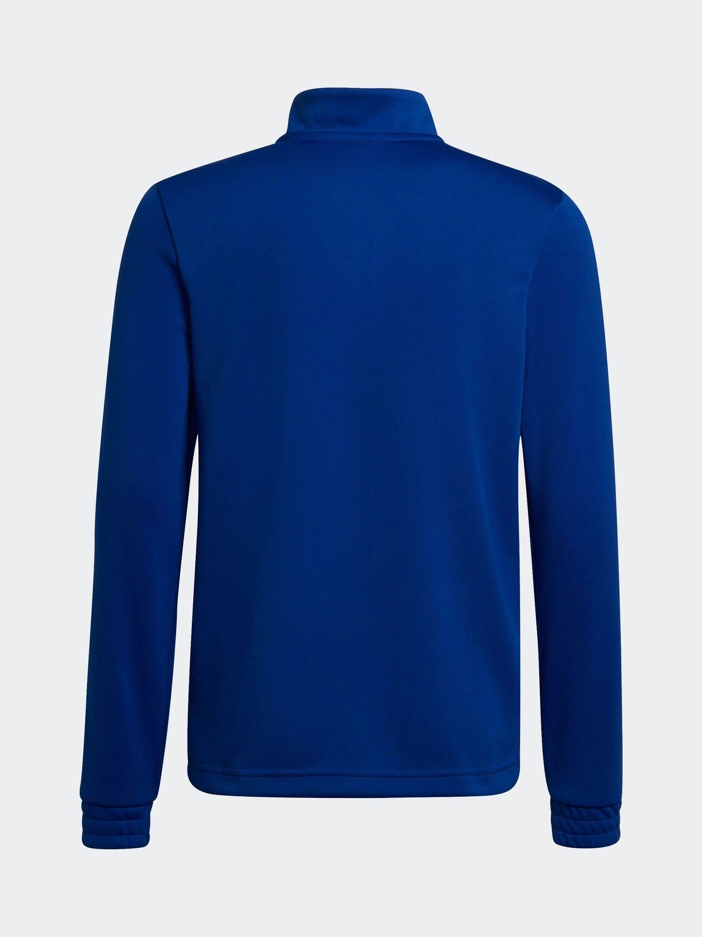 Dsiney Kidz - adidas Bright Blue Entrada 22 Training Top image 2