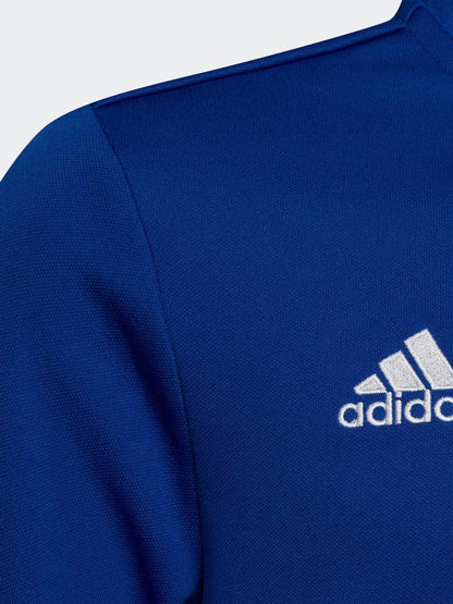Dsiney Kidz - adidas Bright Blue Entrada 22 Training Top image 4
