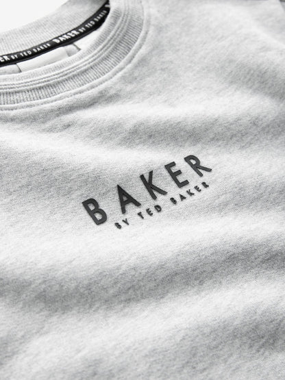 Baker by Ted Baker Grey Baker by Ted Baker Sweatshirt and Joggers Set image 4
