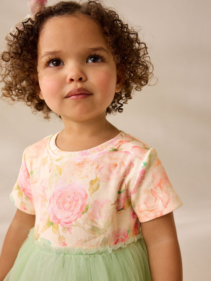 Sage Green Floral Mesh Party Dress (3mths-7yrs)