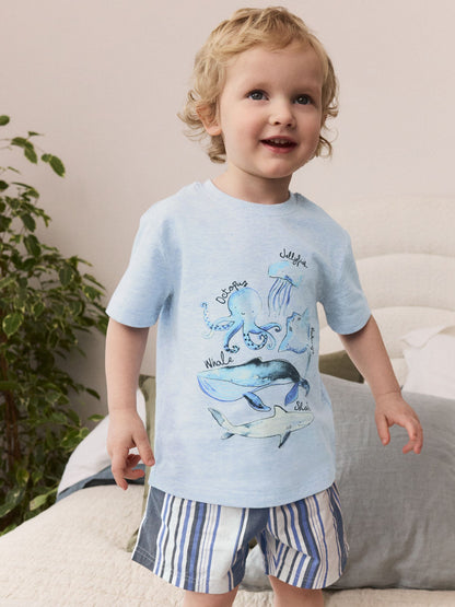 Blue/White Sea Life Short Pyjamas 3 Pack (9mths-12yrs) image 5