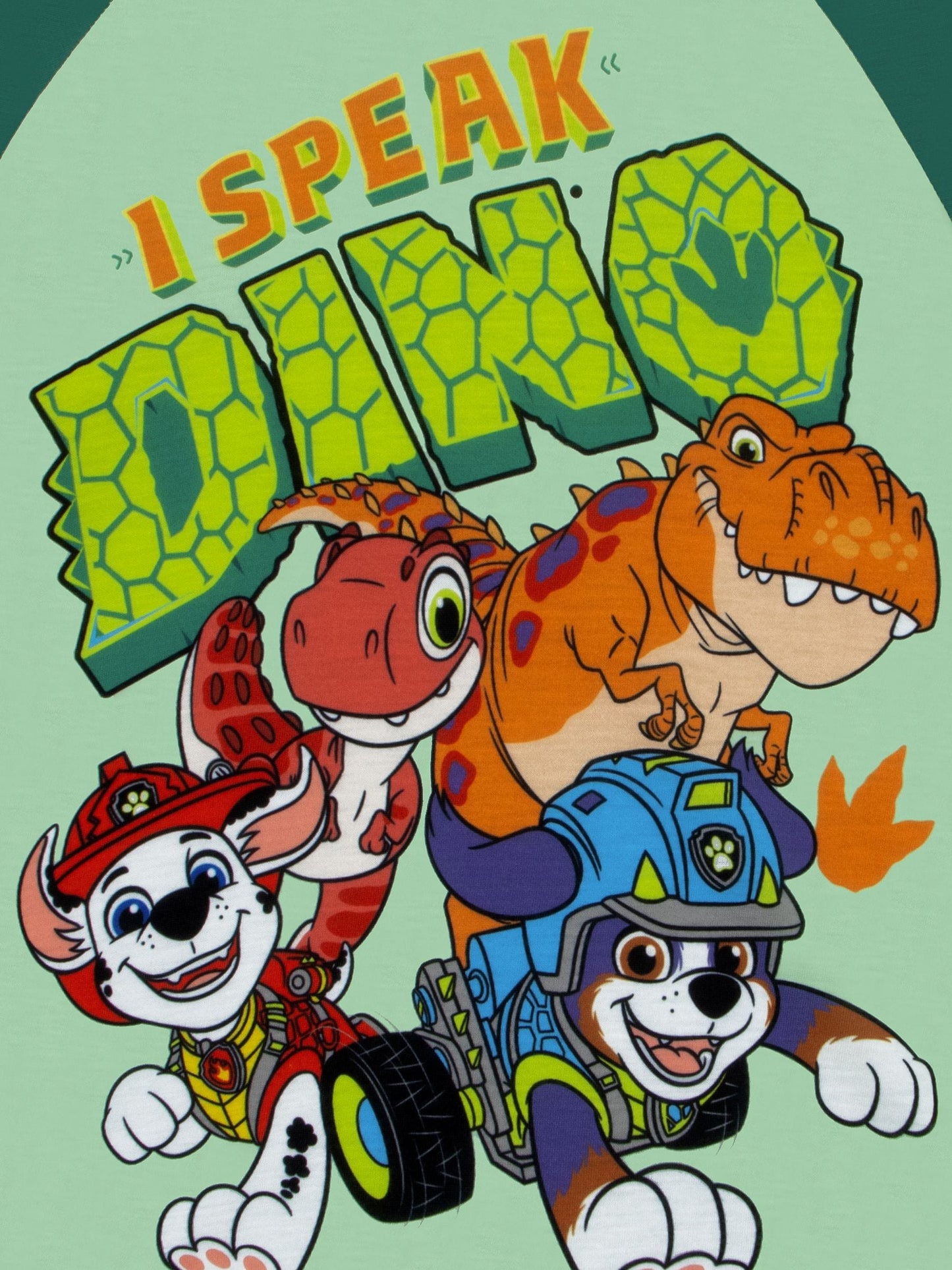 Dsiney Kidz - Character Green PAW Patrol Dinosaur Long Sleeve Pyjama Set image 6