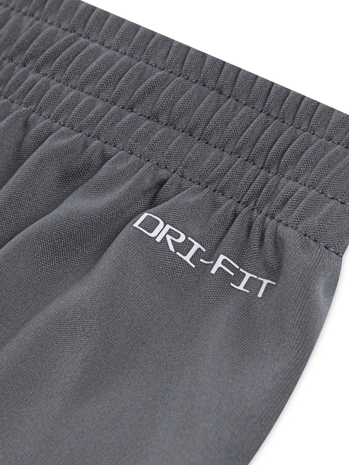 Dsiney Kidz - Nike Grey Little Kids DriFIT Shorts and T-Shirt Set image 3