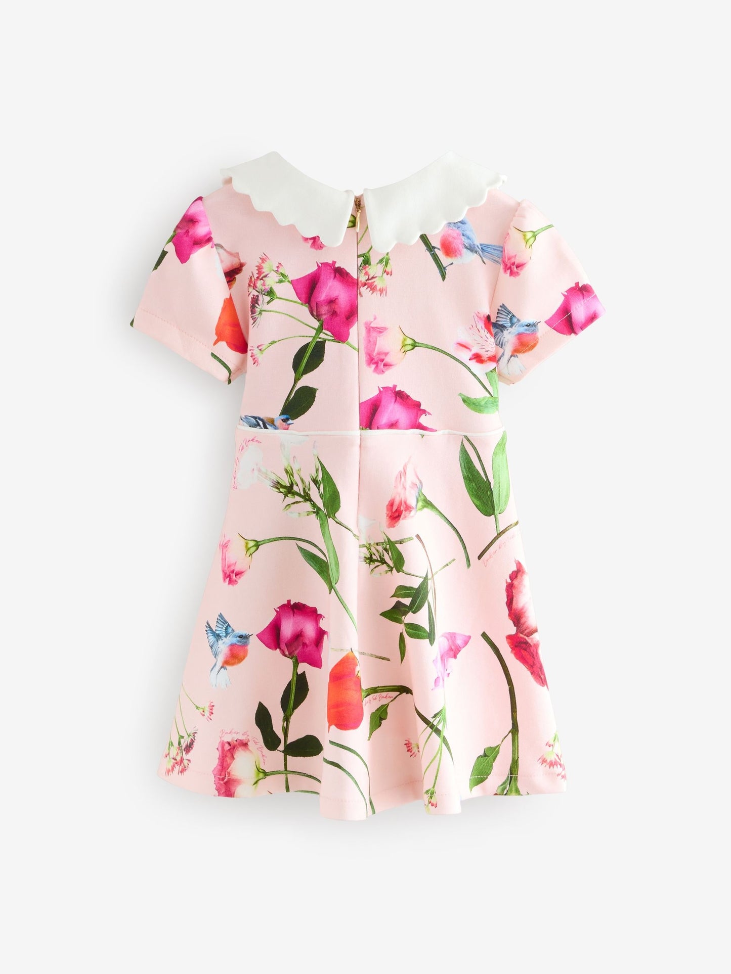 Baker by Ted Baker Bow Collared Ponte Dress image 5