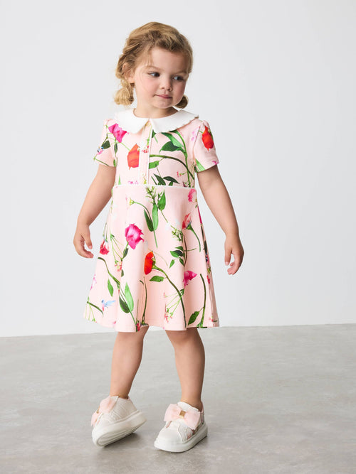 Baker by Ted Baker Bow Collared Ponte Dress image 1