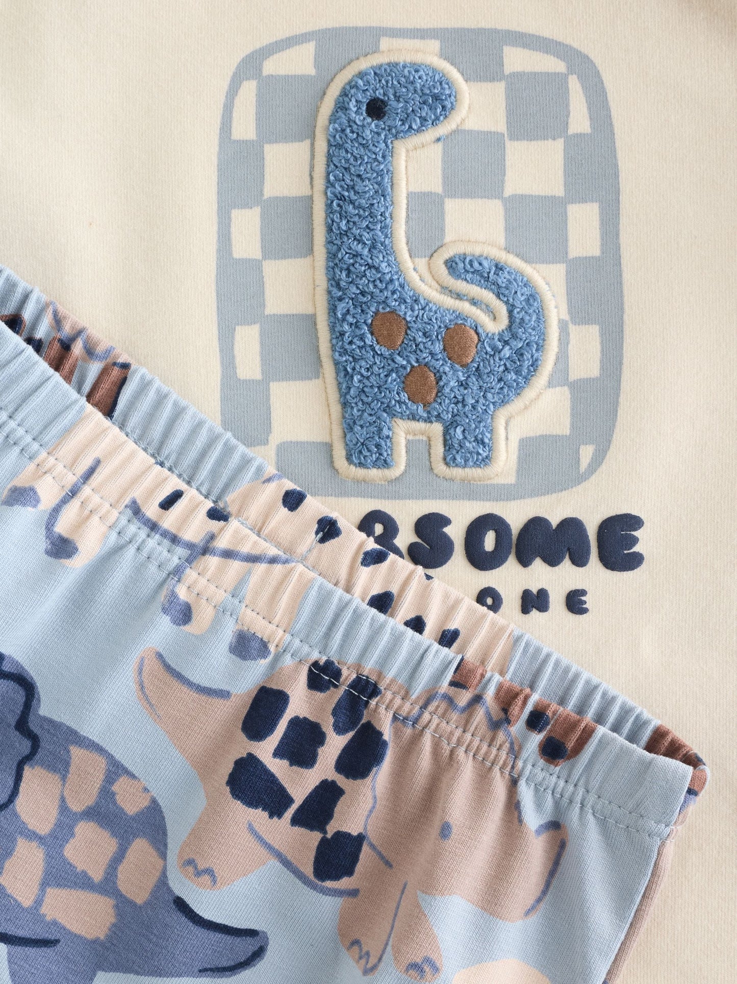 Blue Dinosaur Baby Top and Leggings Set 2 Piece (0mths-3yrs) image 8