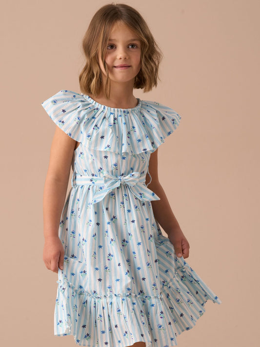 Angel & Rocket Blue Flori Pleated Collar 100% Cotton Dress image 1
