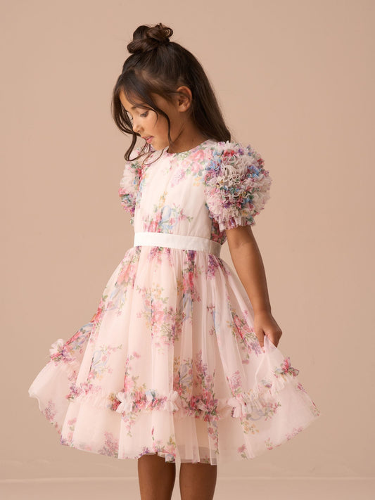 Angel & Rocket Natural Ruffle Sleeve Mesh Dress - image 1