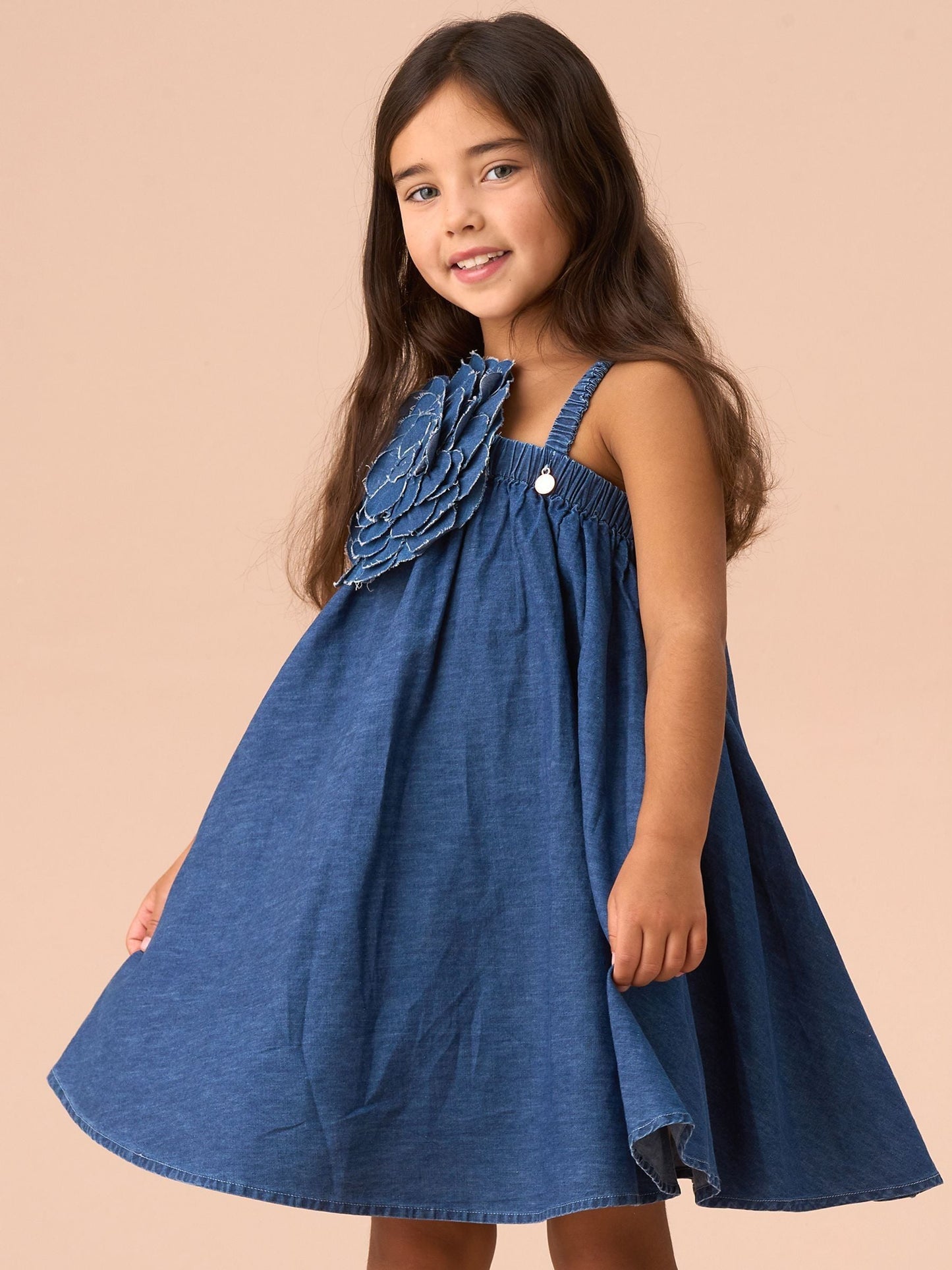 Angel & Rocket Blue Marnie Denim Corsage Swing Dress image 1