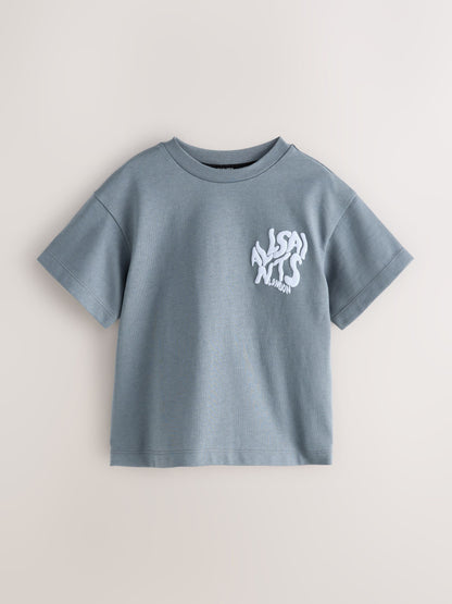 smALLSAINTS Slate Grey Orlando Logo Oversized Crew Neck T-Shirt image 5