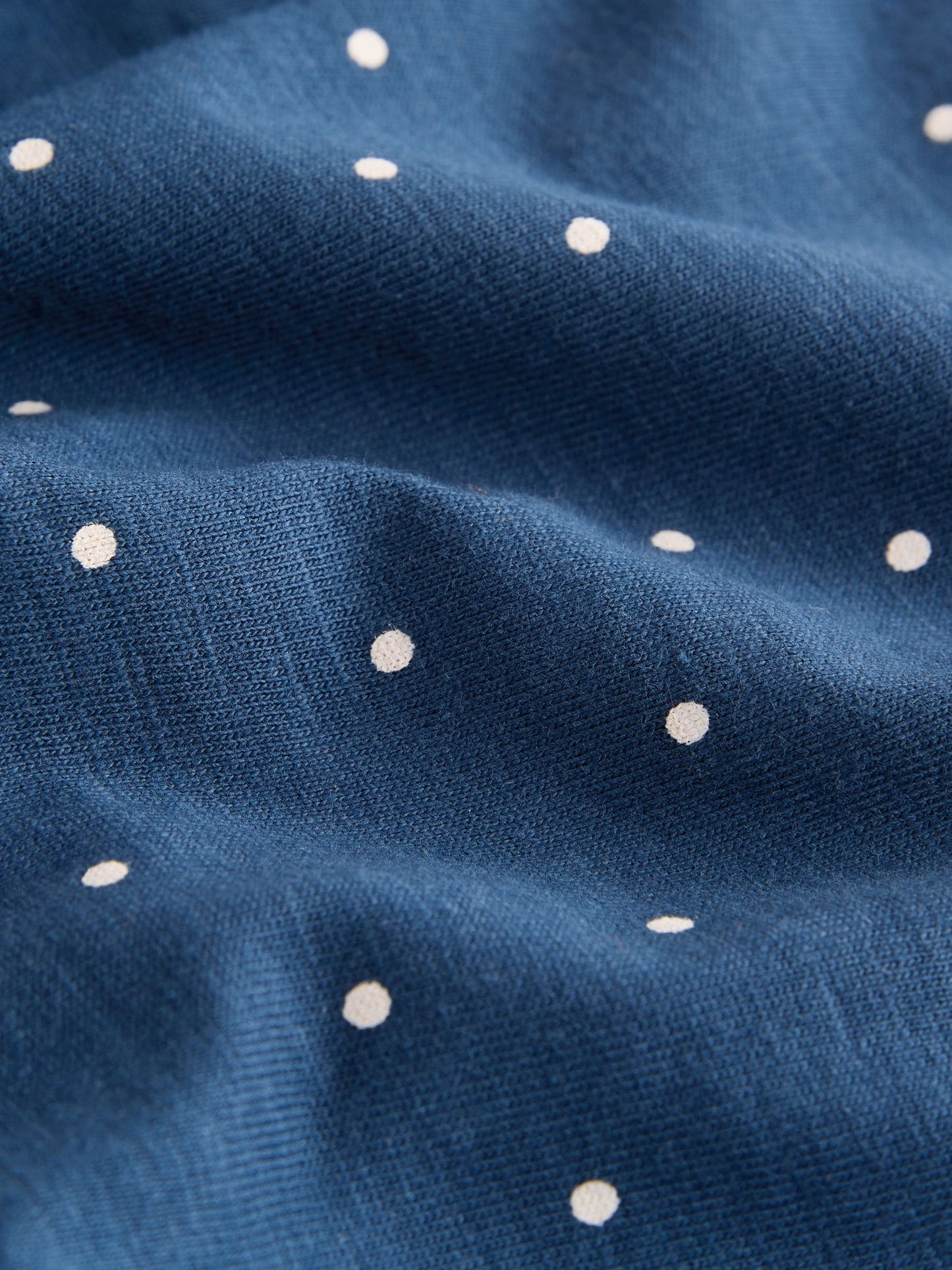 Blue Guinea Pig Long Sleeve Embellished Dress (3mths-7yrs)