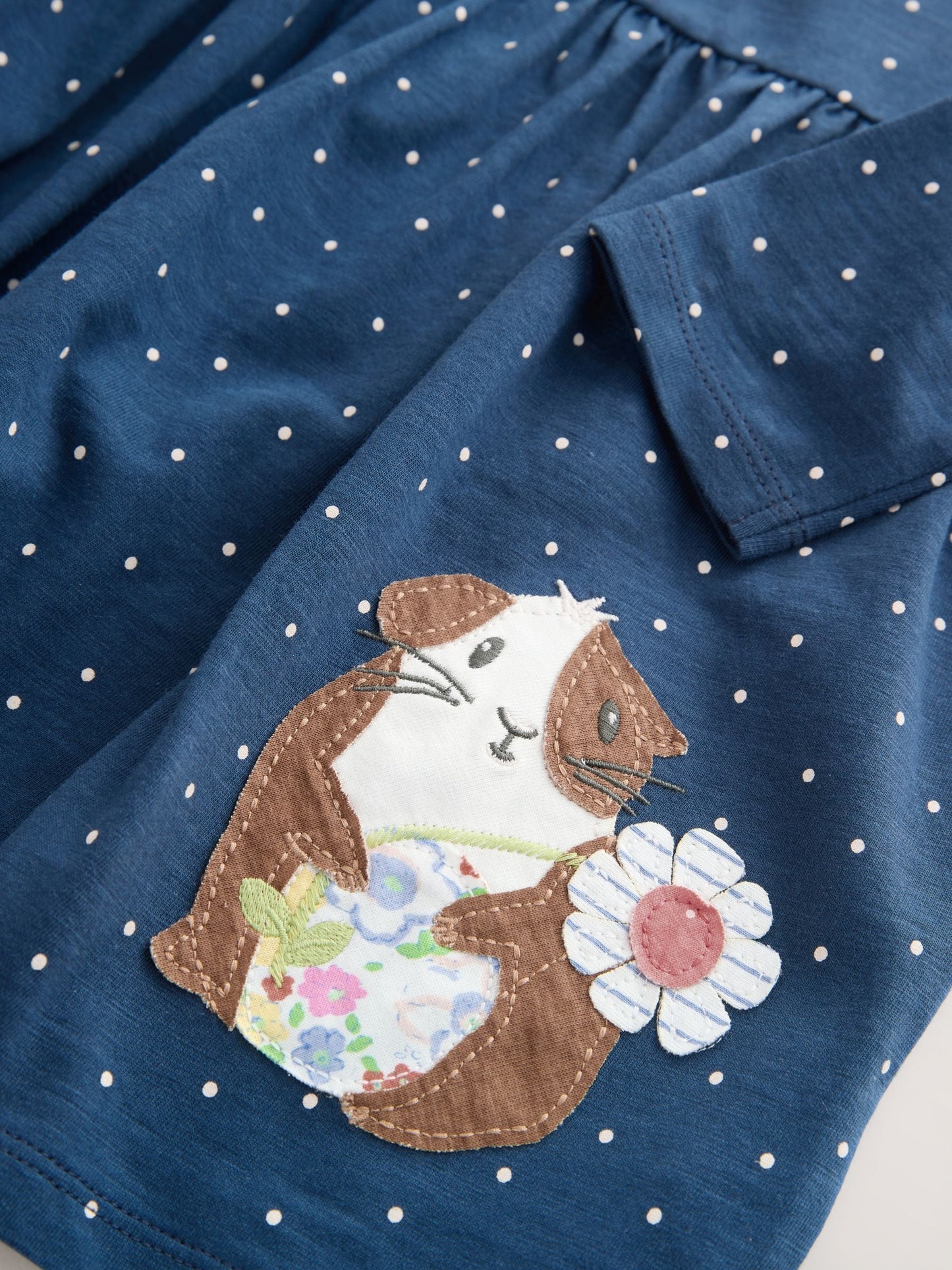Blue Guinea Pig Long Sleeve Embellished Dress (3mths-7yrs)