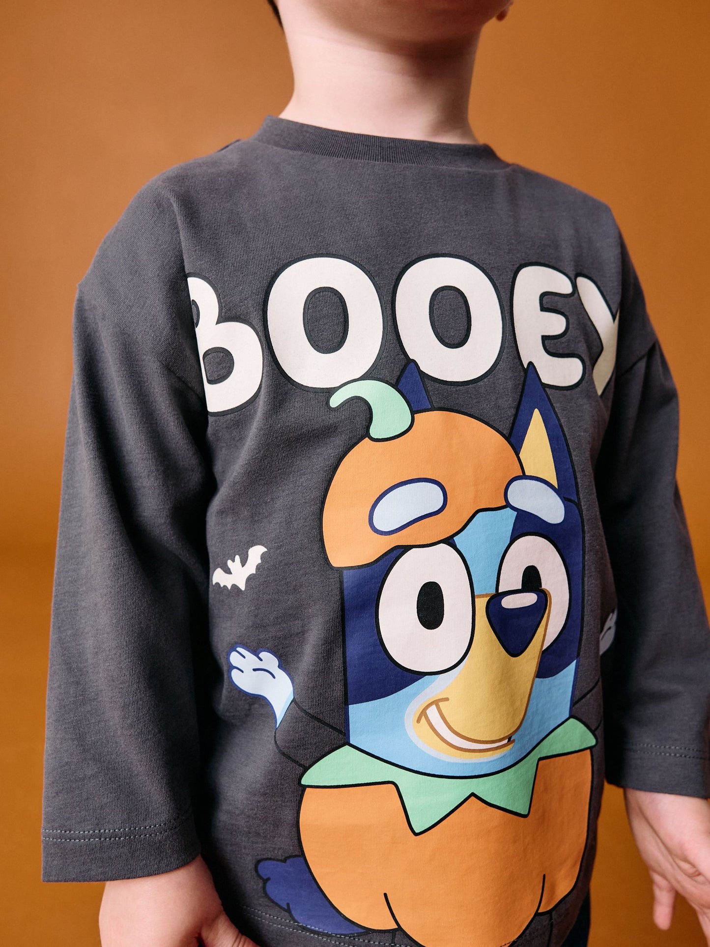 Charcoal Grey Glow in the Dark Bluey Halloween Long Sleeve T-Shirt (3mths-8yrs) image 3