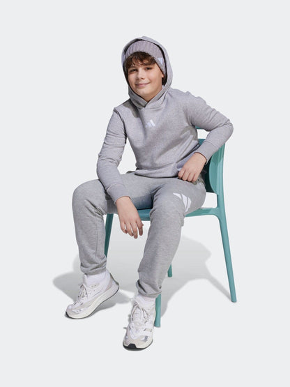 Dsiney Kidz - adidas Grey Essentials Kids Hoodie image 1