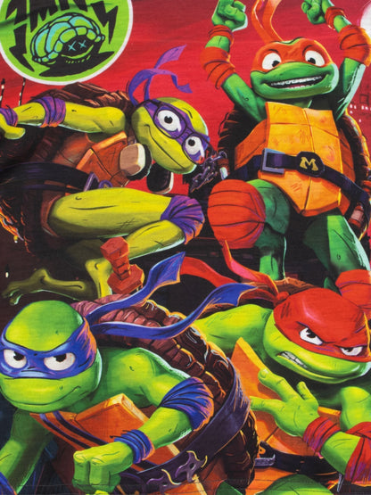 Character Grey Teenage Mutant Ninja Turtles Long Sleeve Pyjamas - image 5