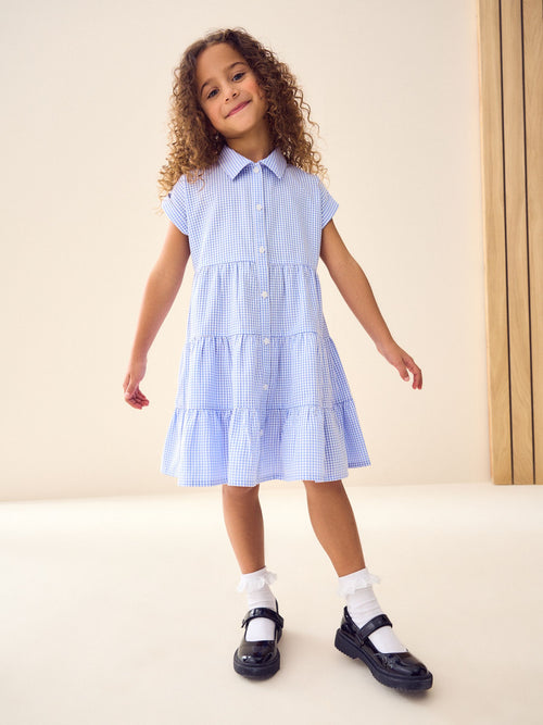 Blue Cotton Rich School Gingham Tiered Shirt Collar Dress (3-14yrs) image 1
