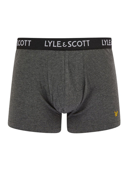 Dsiney Kidz - Lyle & Scott White Miller Underwear Boxer Trunks 5 Pack image 3