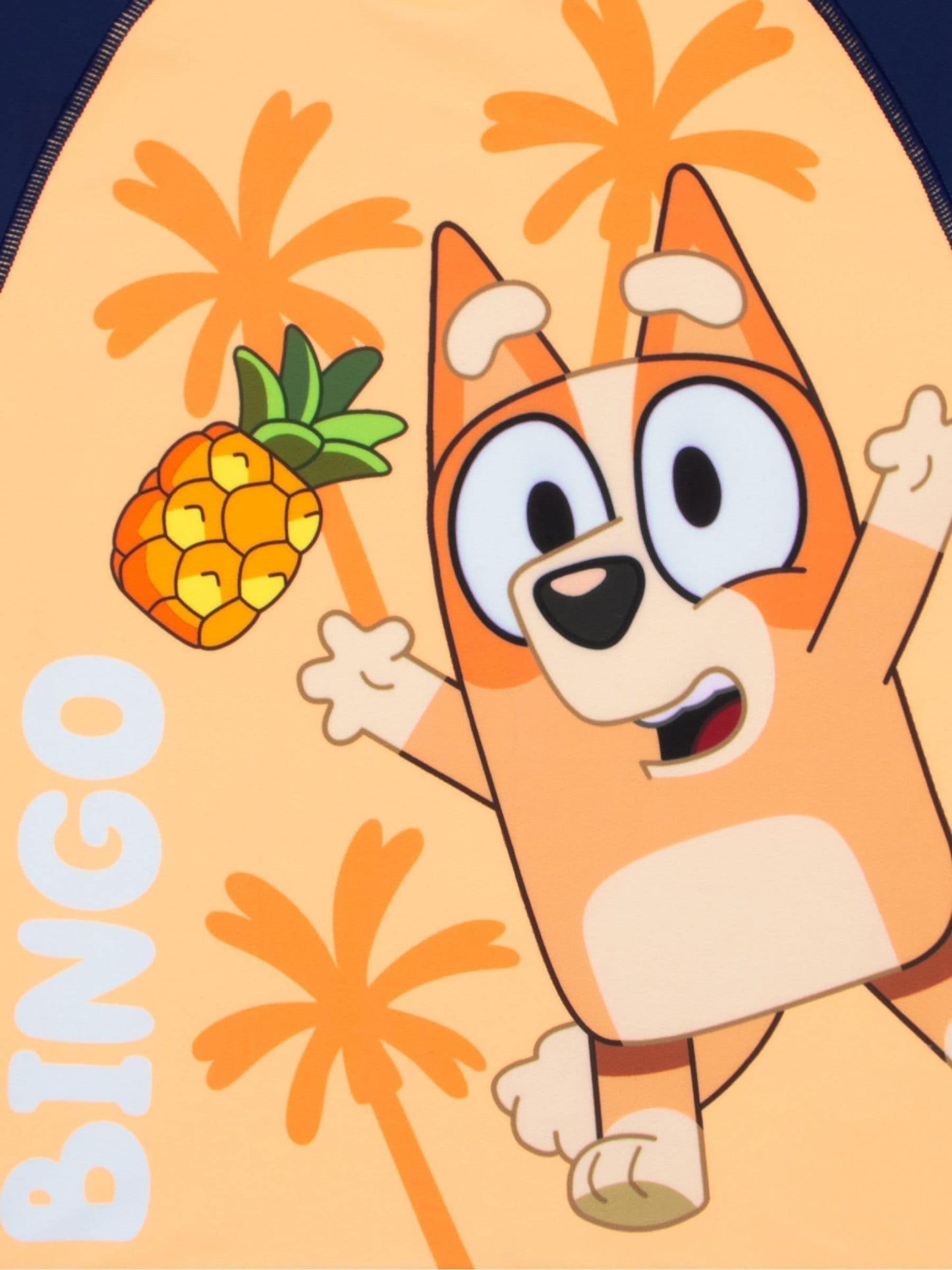 Character Orange Bluey Bingo Swim Shorts And Rash Guard image 6