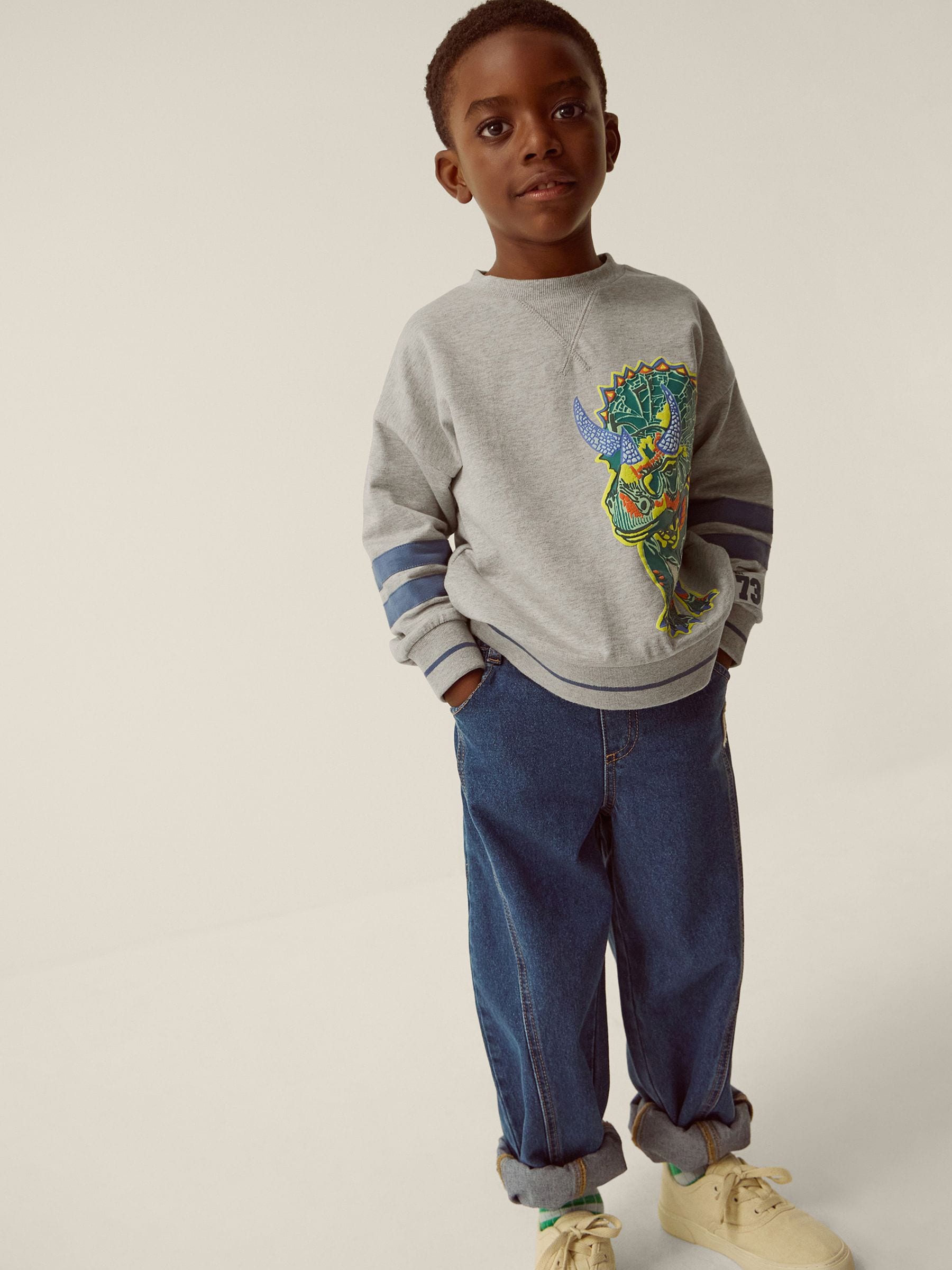 Dsiney Kidz - Monsoon Grey Triceratops Graphic Sweatshirt image 1
