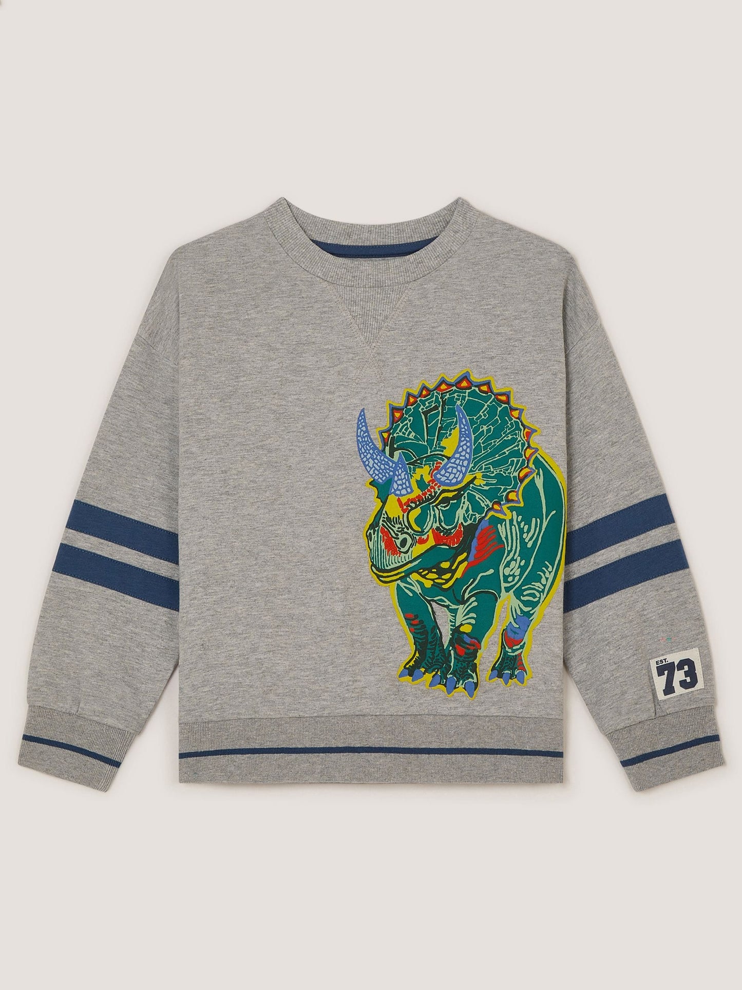 Dsiney Kidz - Monsoon Grey Triceratops Graphic Sweatshirt image 2