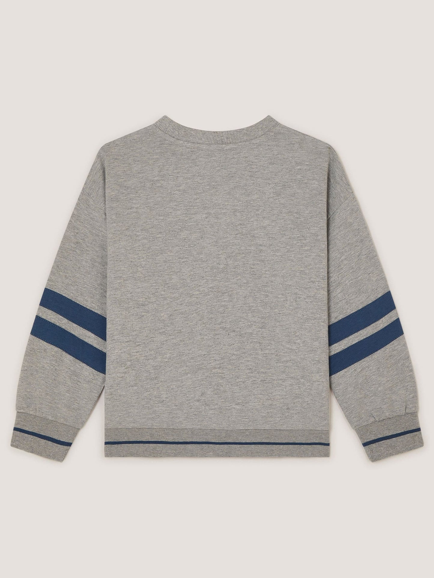 Dsiney Kidz - Monsoon Grey Triceratops Graphic Sweatshirt image 3