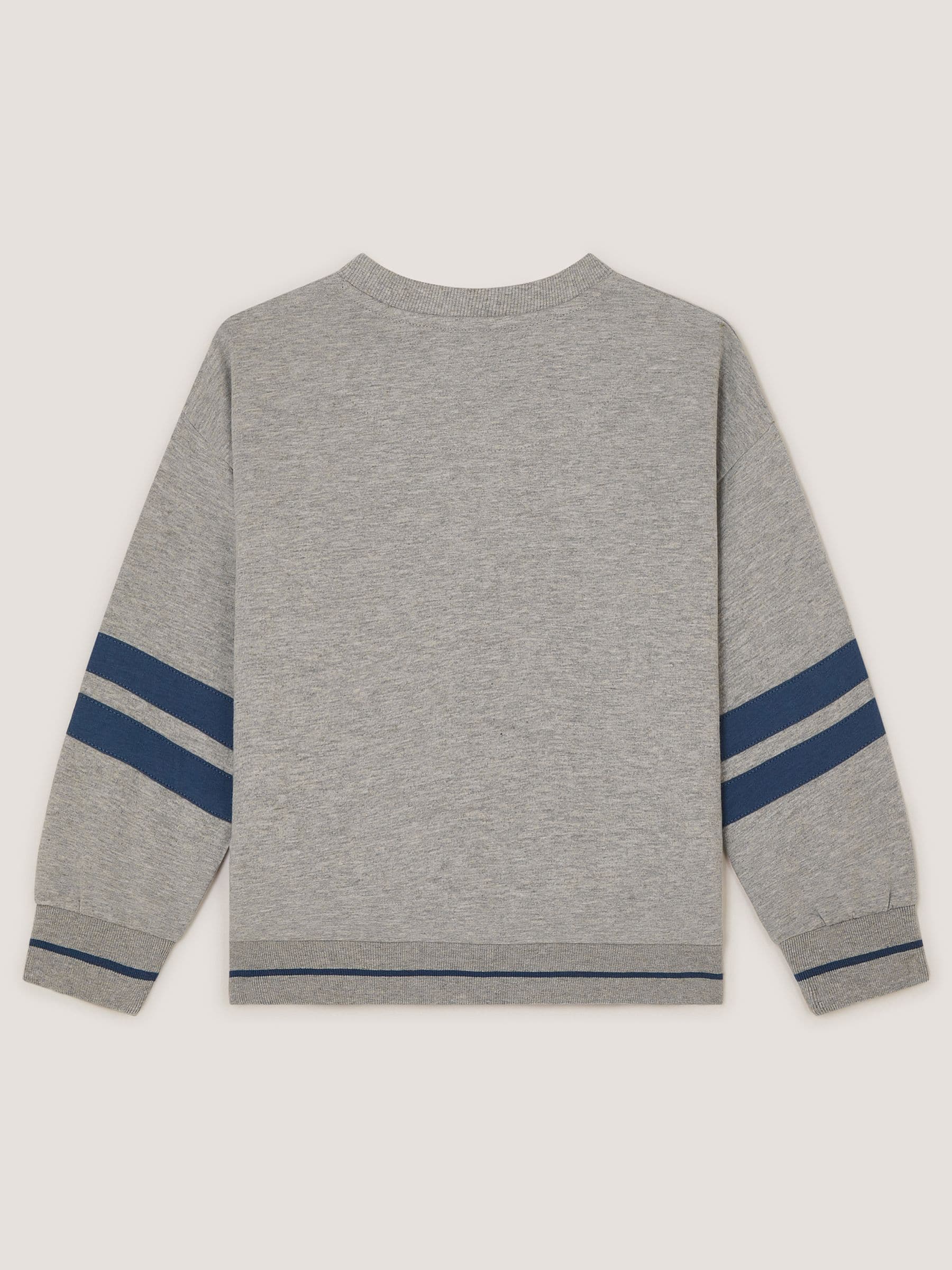 Dsiney Kidz - Monsoon Grey Triceratops Graphic Sweatshirt image 3