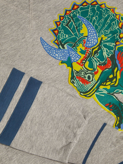 Dsiney Kidz - Monsoon Grey Triceratops Graphic Sweatshirt image 4
