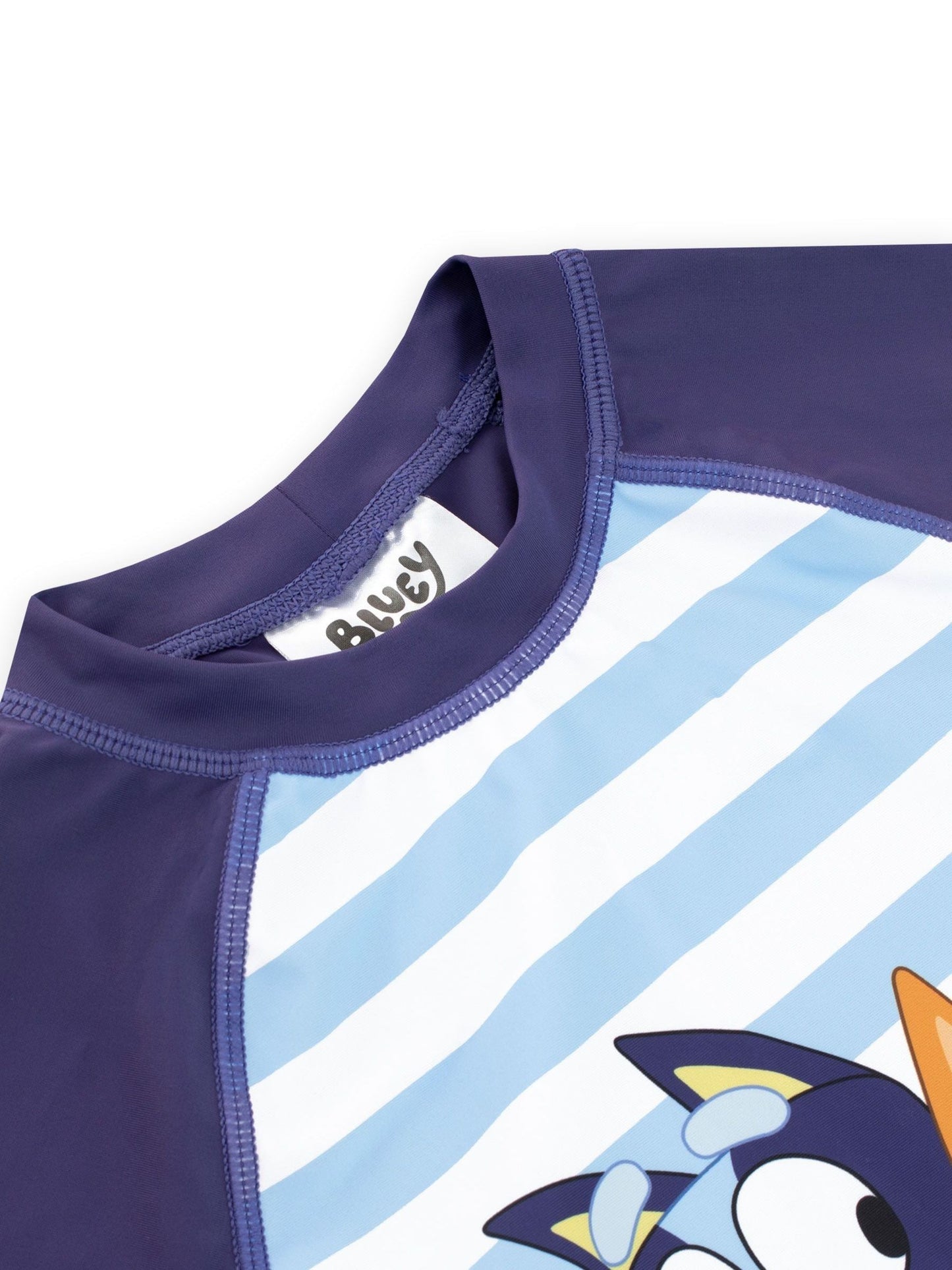 Character Blue Bluey Blue Stripe Swimsuit image 4