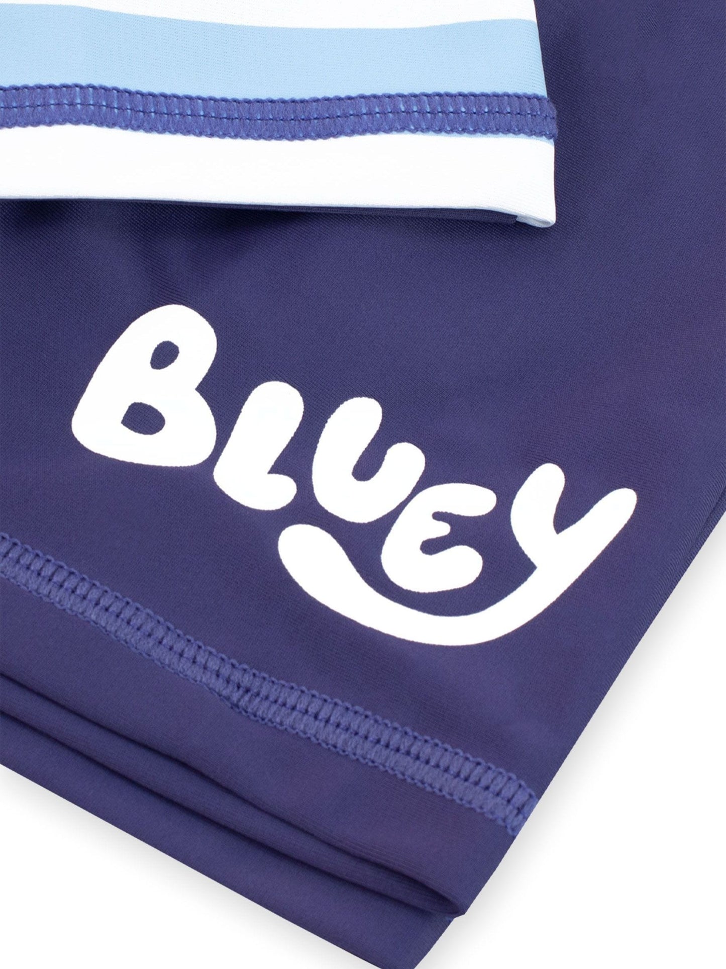 Character Blue Bluey Blue Stripe Swimsuit image 5
