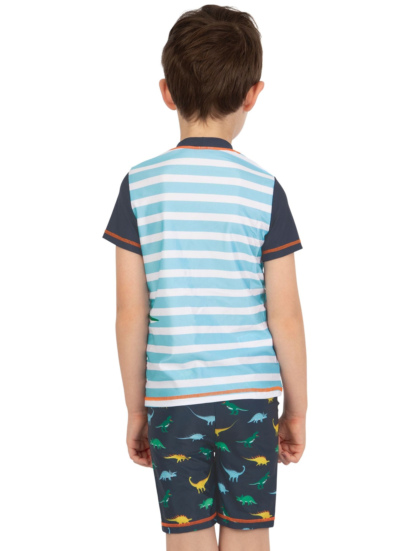 Character Blue Dinosaur Green Dino Rawr Swim Set image 3