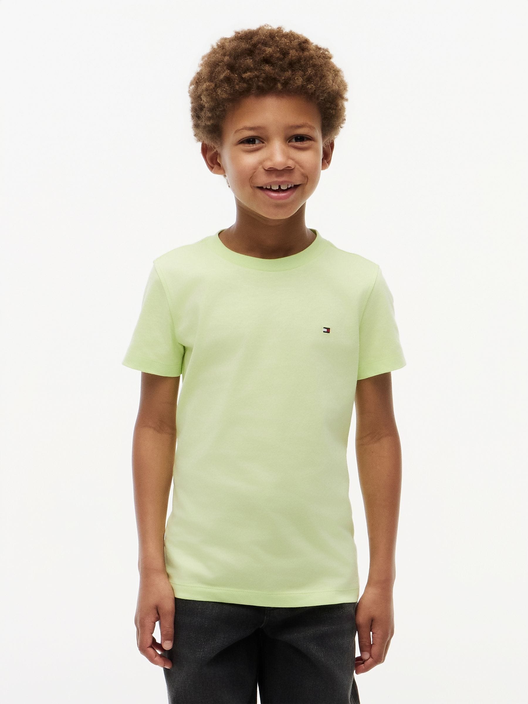 Tommy Hilfiger Green Essential Flag Embroidery Crew Neck T-Shirt image 1