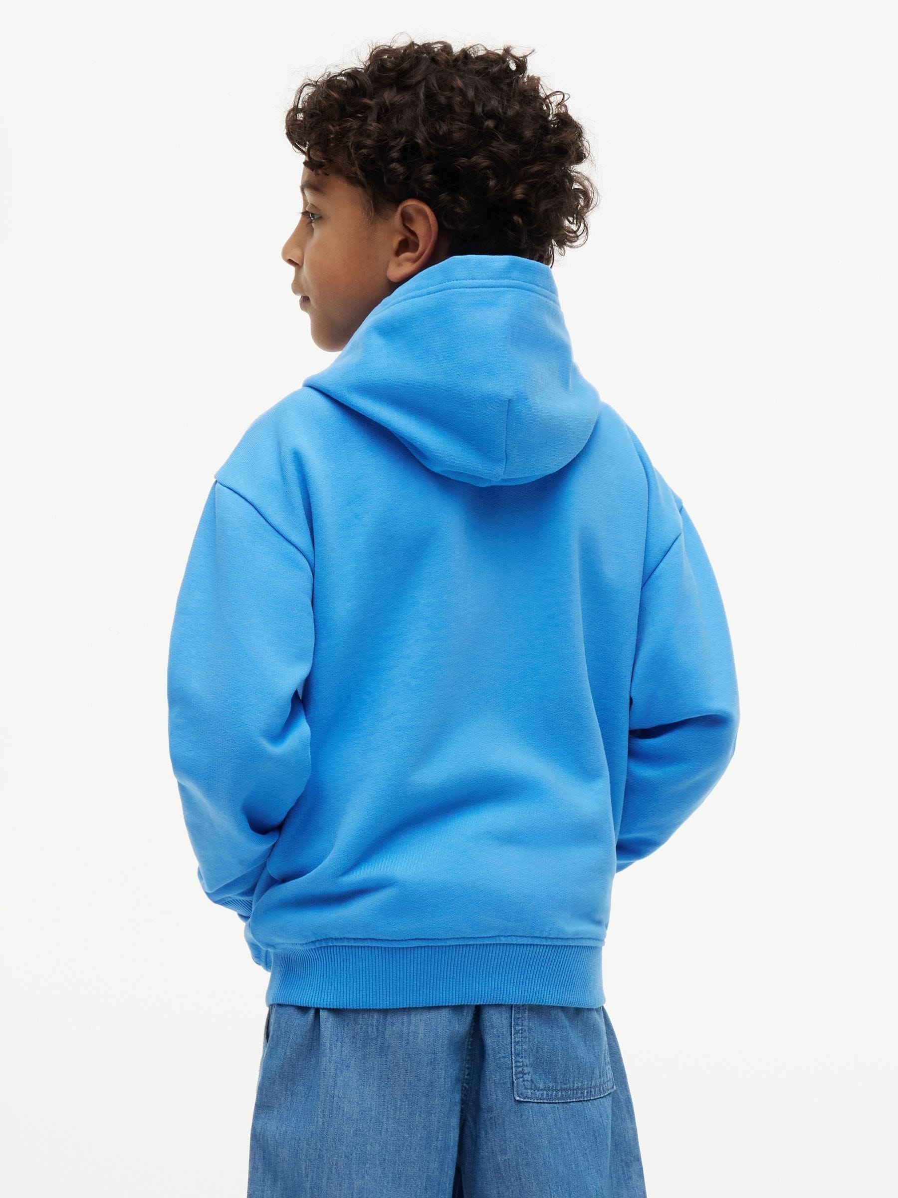 Dsiney Kidz - Tommy Hilfiger Blue Tonal Flag Logo Terry Zip-Thru Hoodie image 2
