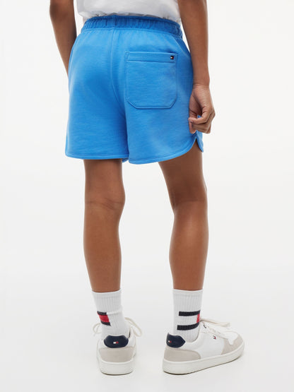 Dsiney Kidz - Tommy Hilfiger Blue Tonal Flag Logo Terry Sweat Shorts image 2