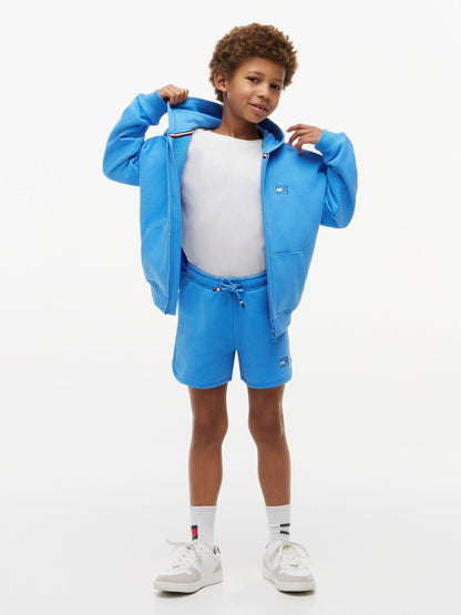 Dsiney Kidz - Tommy Hilfiger Blue Tonal Flag Logo Terry Sweat Shorts image 3