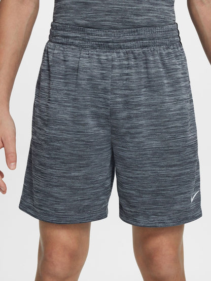 Dsiney Kidz - Nike Grey Multi Dri-FIT Shorts image 2