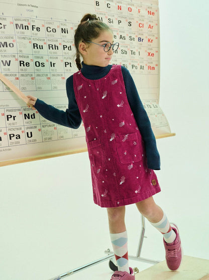 Dsiney Kidz - Hatley Purple Embroidered Twilight Pinafore Dress image 1