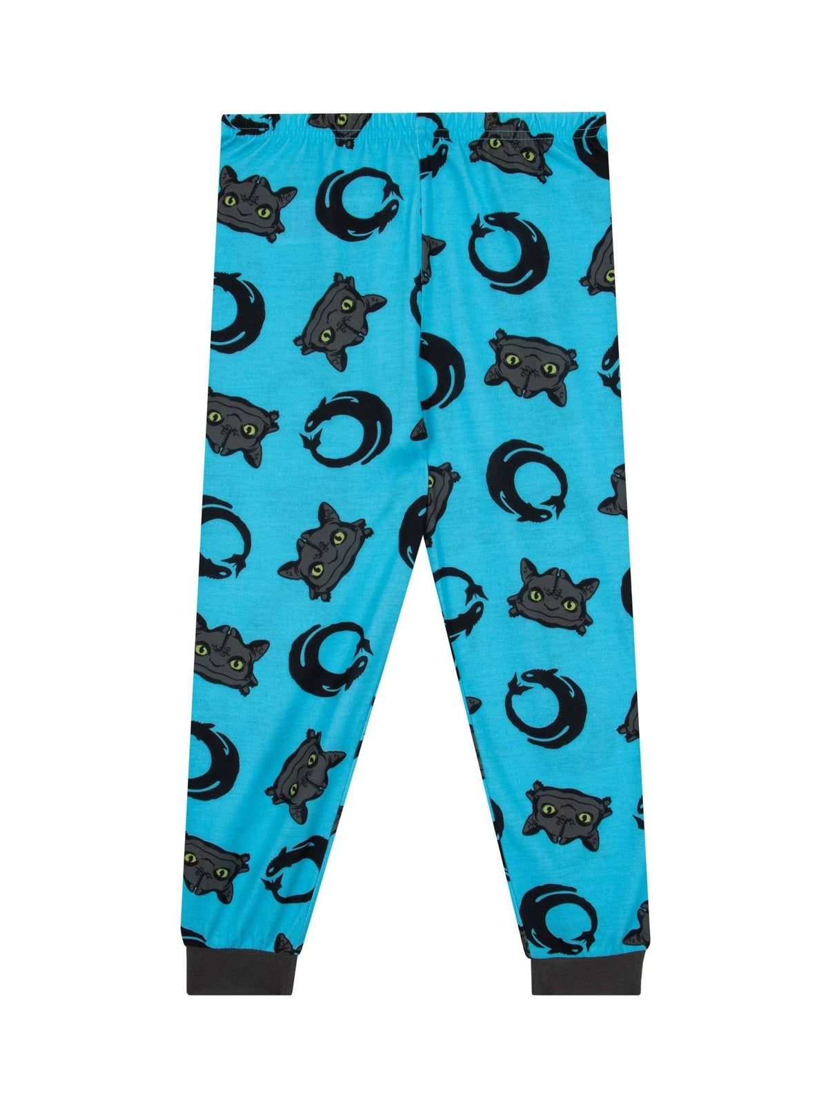 Character Blue How To Train Yor Drain Long Pyjamas - image 4