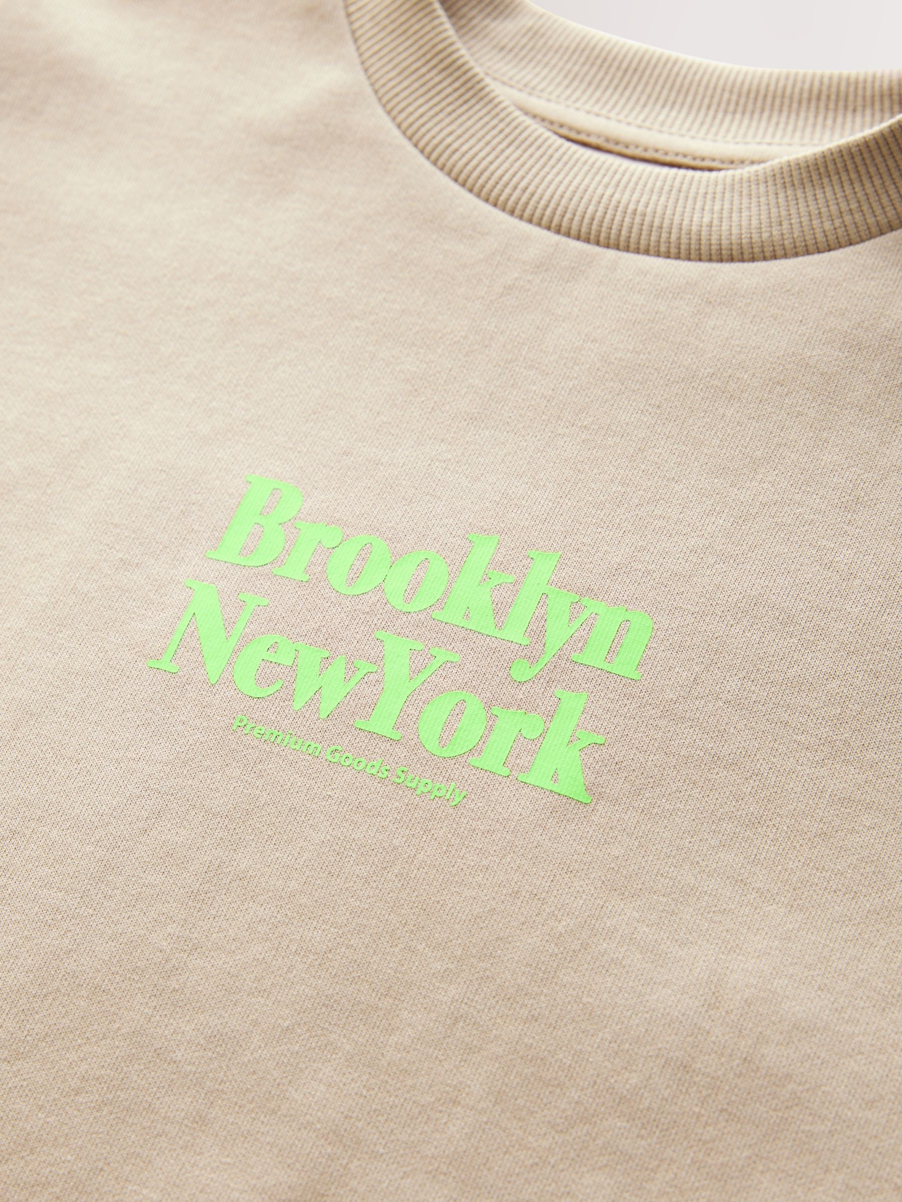 Dsiney Kidz - Stone Brooklyn Graphic Heavyweight Short Sleeve T-Shirt (3-16yrs) image 3