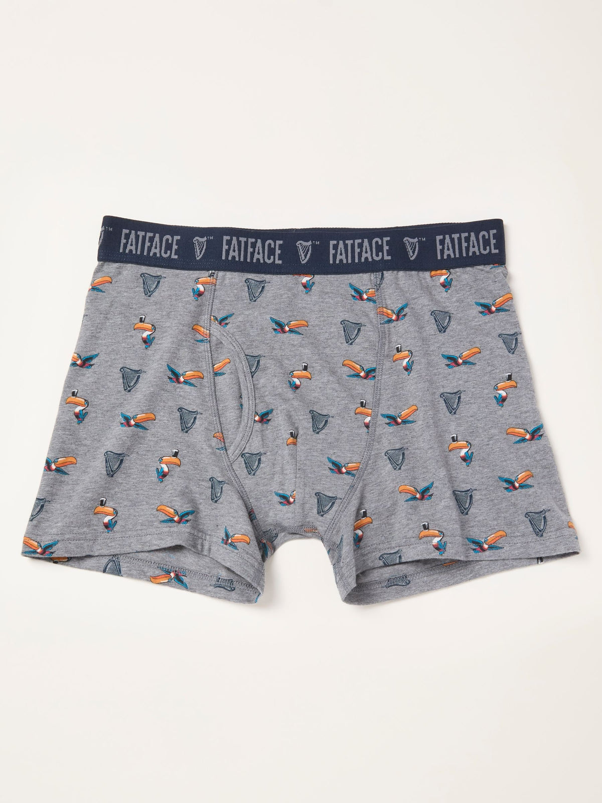 Dsiney Kidz - FatFace Grey Guinness Boxers in a Gift Box image 2