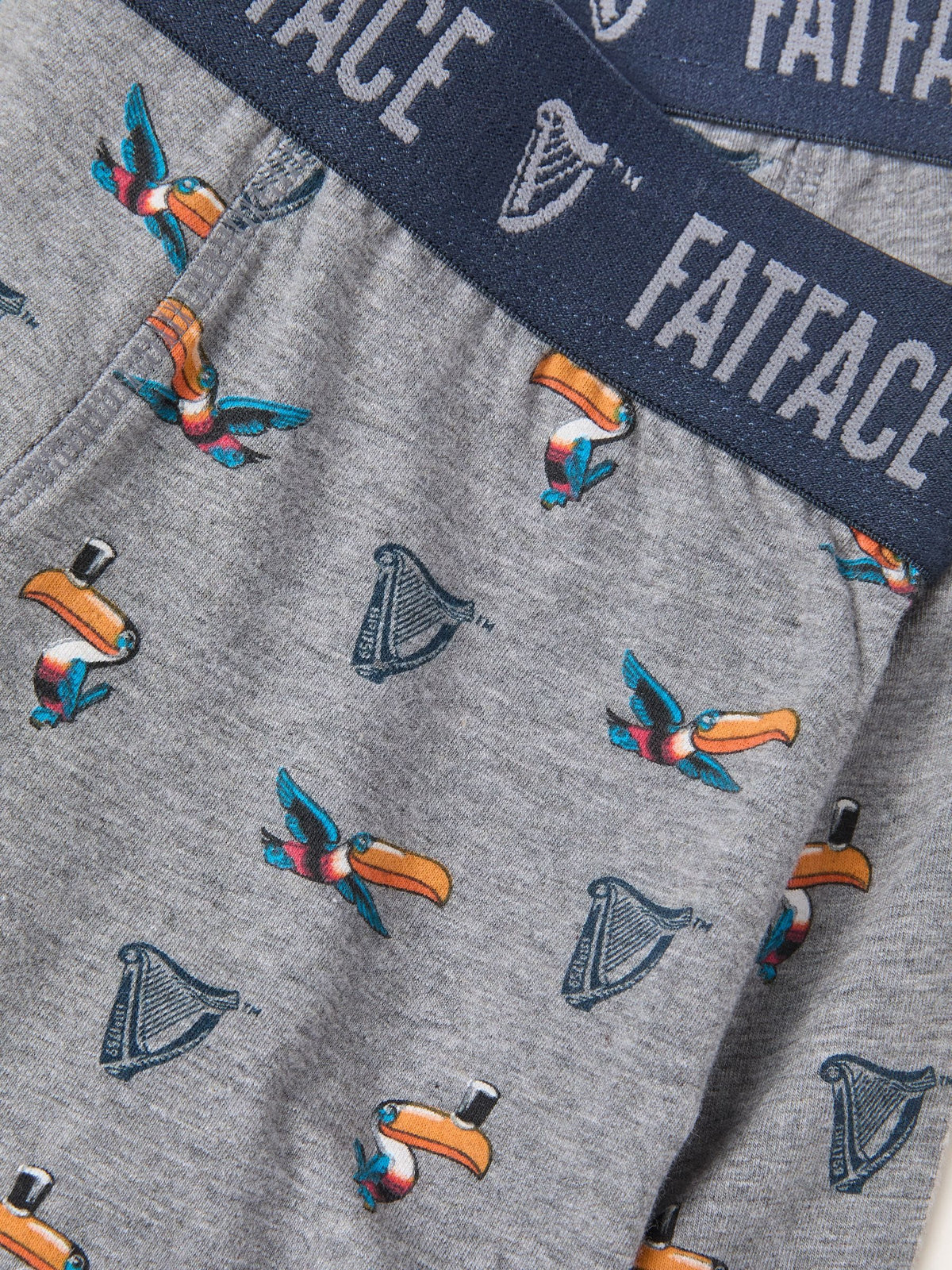 Dsiney Kidz - FatFace Grey Guinness Boxers in a Gift Box image 3